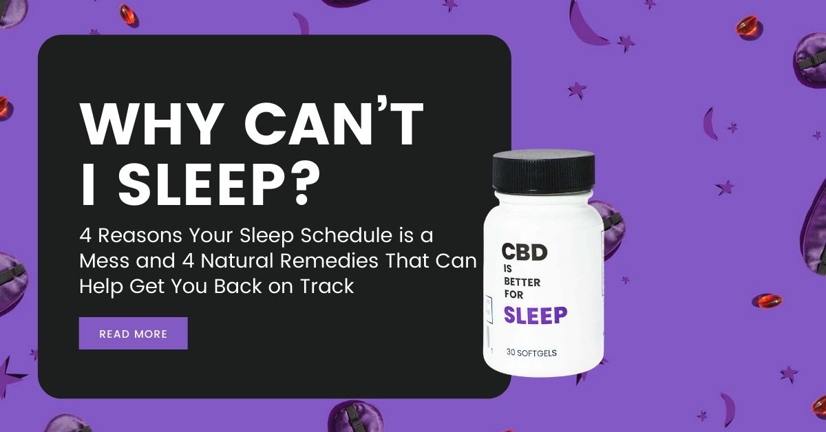 Why Can't I Sleep? 4 Reasons Your Sleep Schedule is a Mess and 4 Natural Remedies That Can Help Get You Back on Track