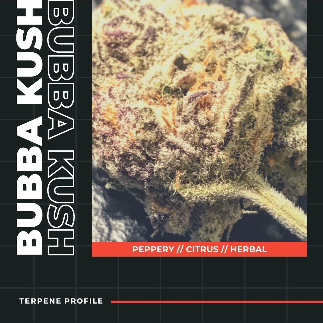 Bubba Kush Terpene Profile